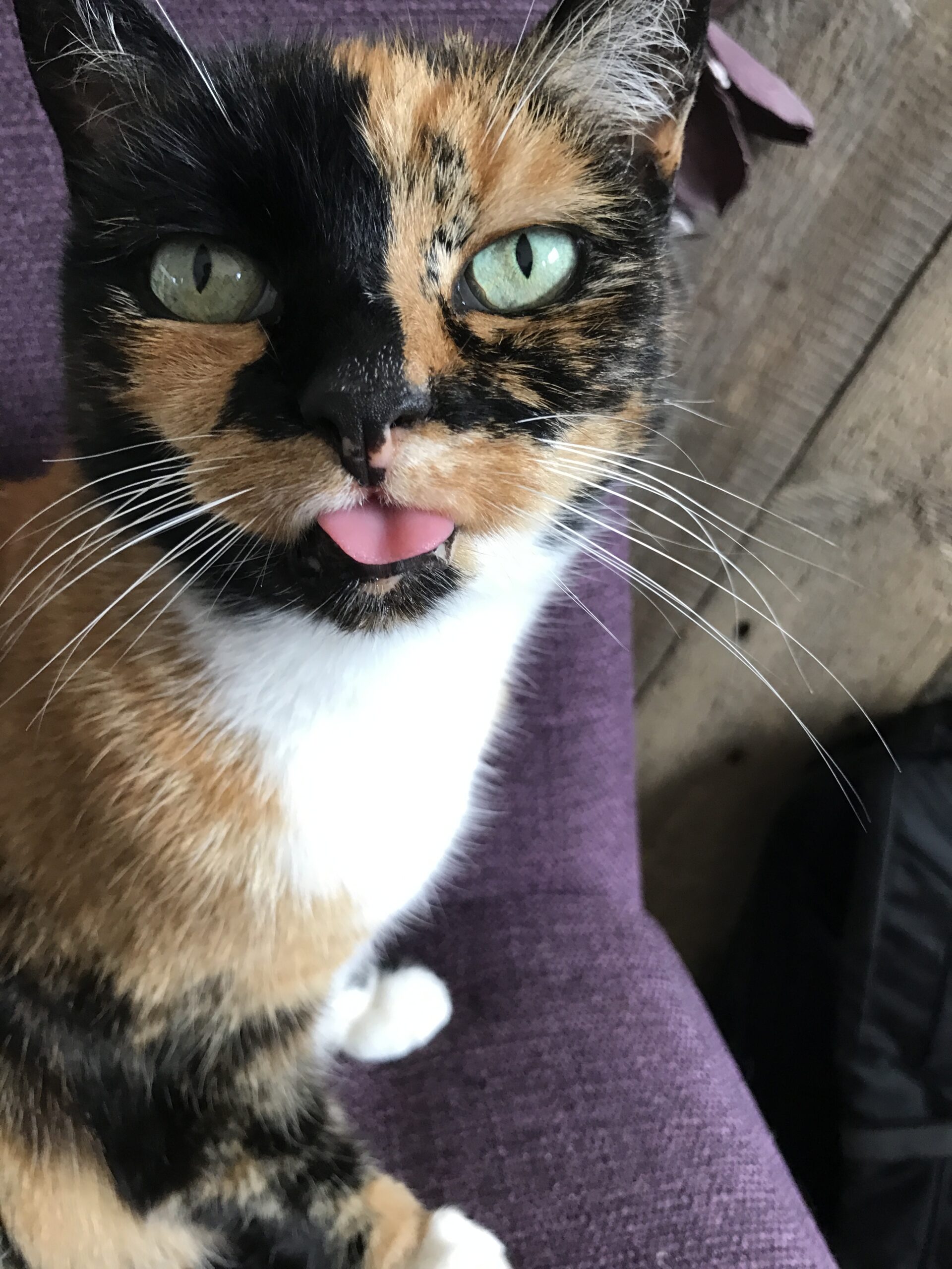 Zoë